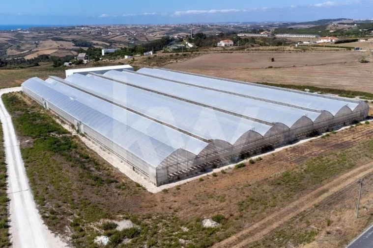 Terreno para Venda em Santo Isidoro Foto 27
