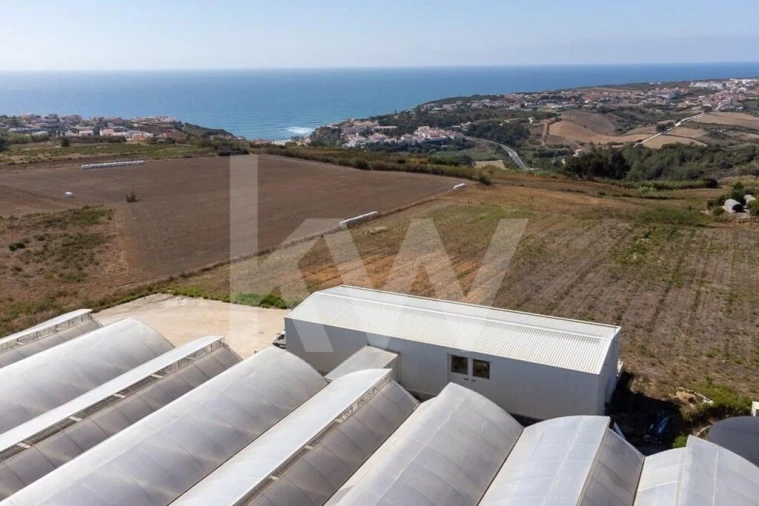 Terreno para Venda em Santo Isidoro Foto 28