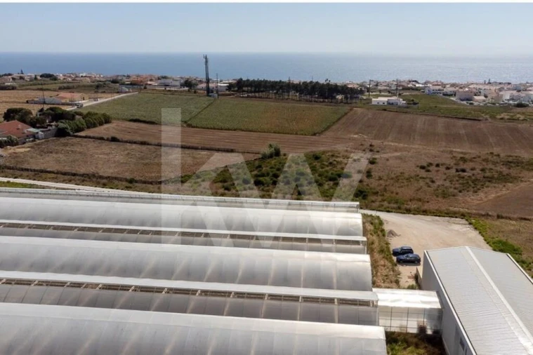 Terreno para Venda em Santo Isidoro Foto 29