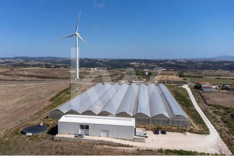 Terreno para Venda em Santo Isidoro Foto 30