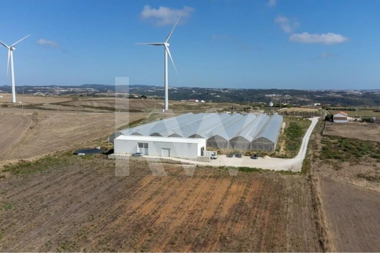 Terreno para Venda em Santo Isidoro Foto 33