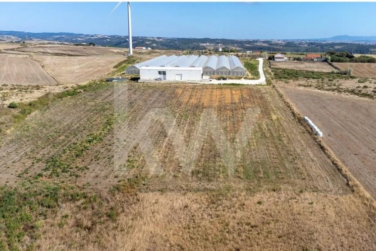Terreno para Venda em Santo Isidoro Foto 35