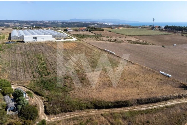 Terreno para Venda em Santo Isidoro Foto 36