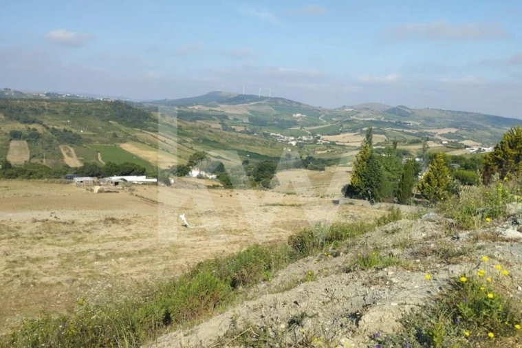 Terreno para Venda em Sobral de Monte Agraço Foto 6