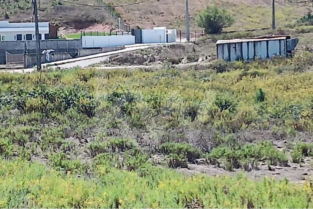 Terreno para Venda em Ramalhal Foto 3