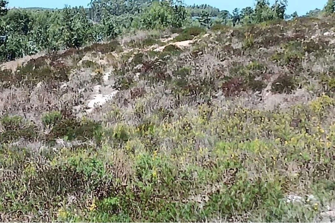 Terreno para Venda em Ramalhal Foto 5