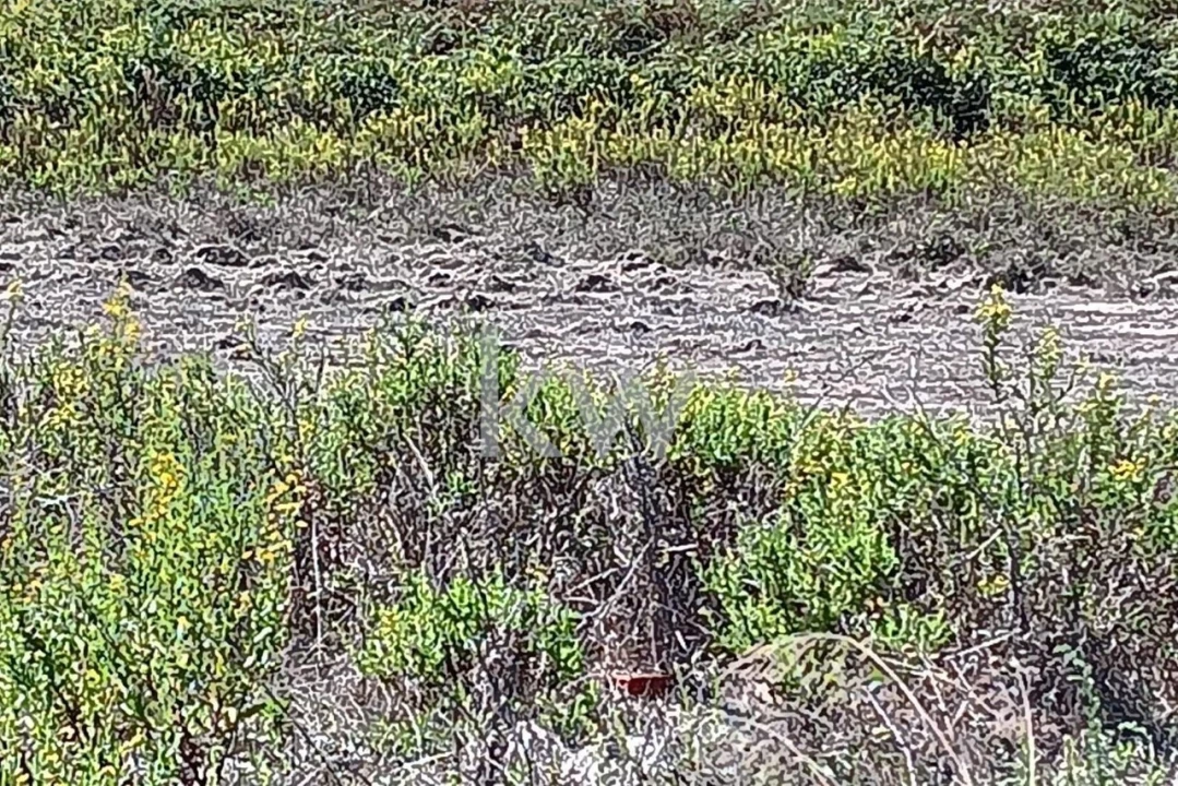 Terreno para Venda em Ramalhal Foto 13