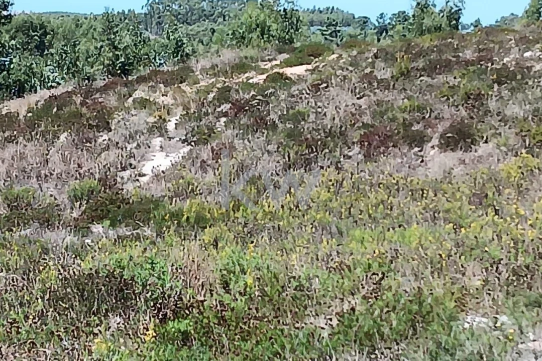 Terreno para Venda em Ramalhal Foto 14