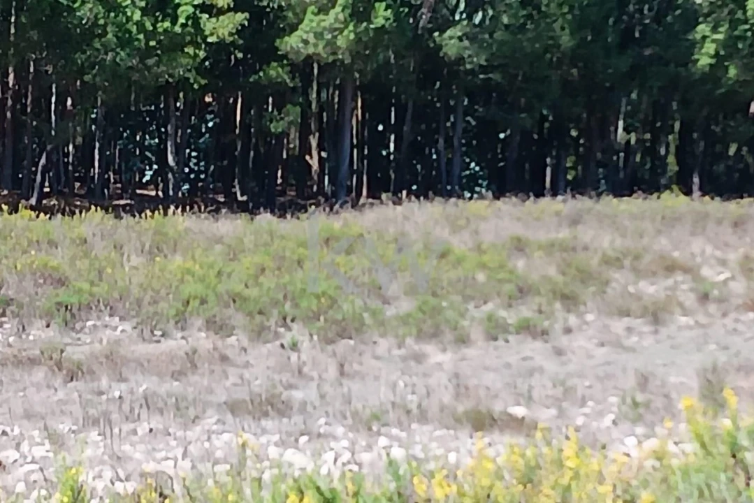 Terreno para Venda em Ramalhal Foto 16