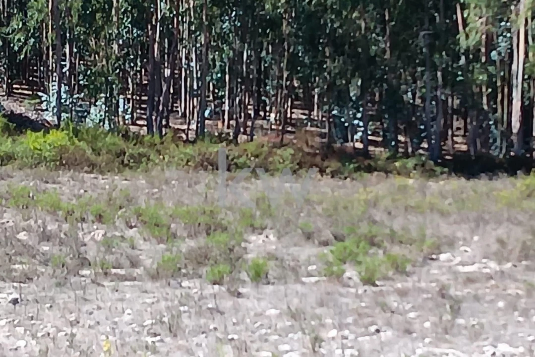 Terreno para Venda em Ramalhal Foto 17
