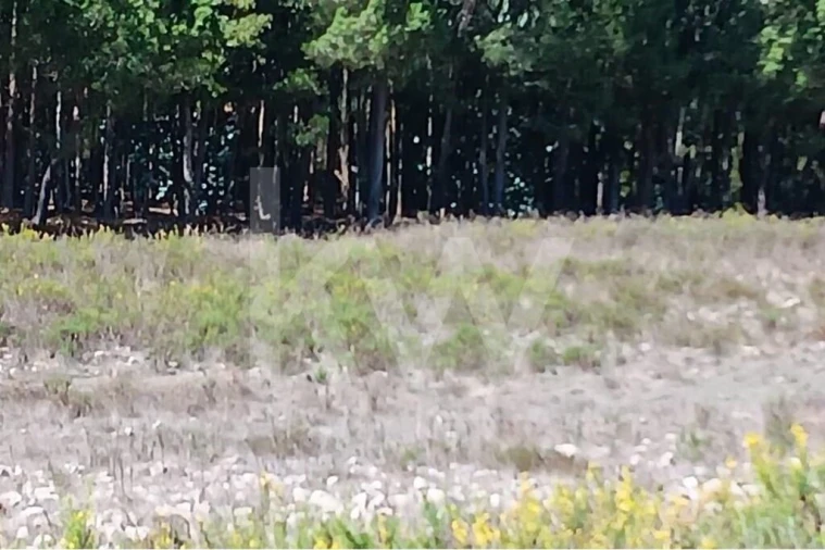 Terreno para Venda em Ramalhal Foto 7