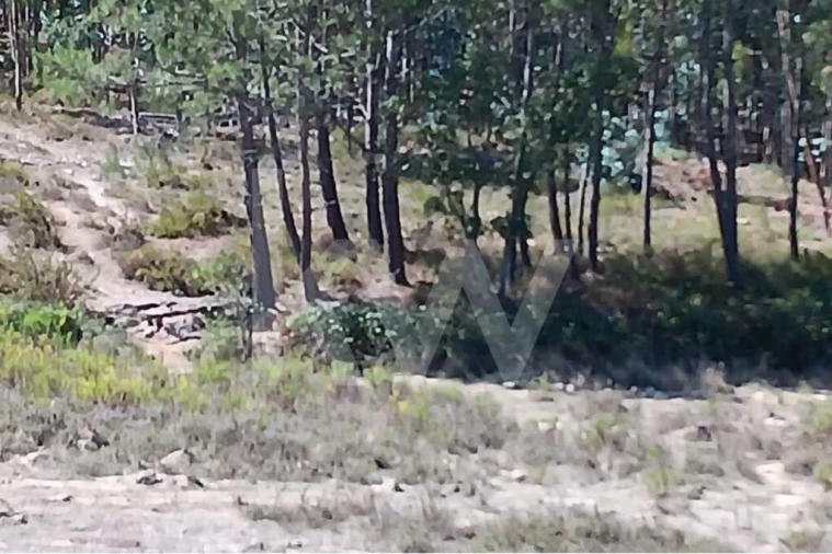 Terreno para Venda em Ramalhal Foto 9