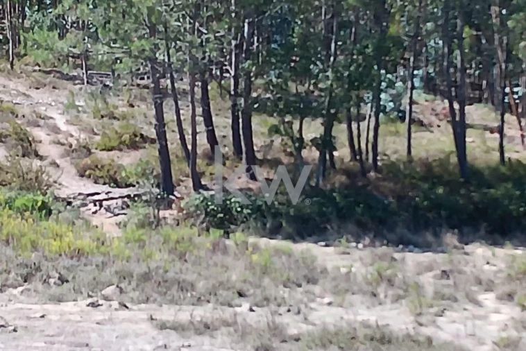 Terreno para Venda em Ramalhal Foto 18