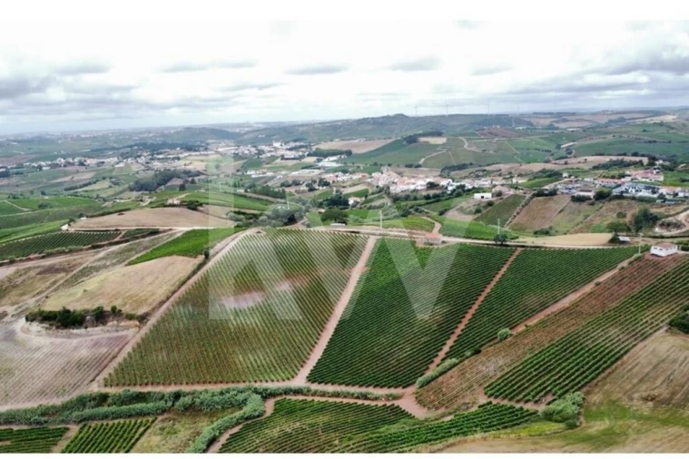 Terreno para Venda em Turcifal