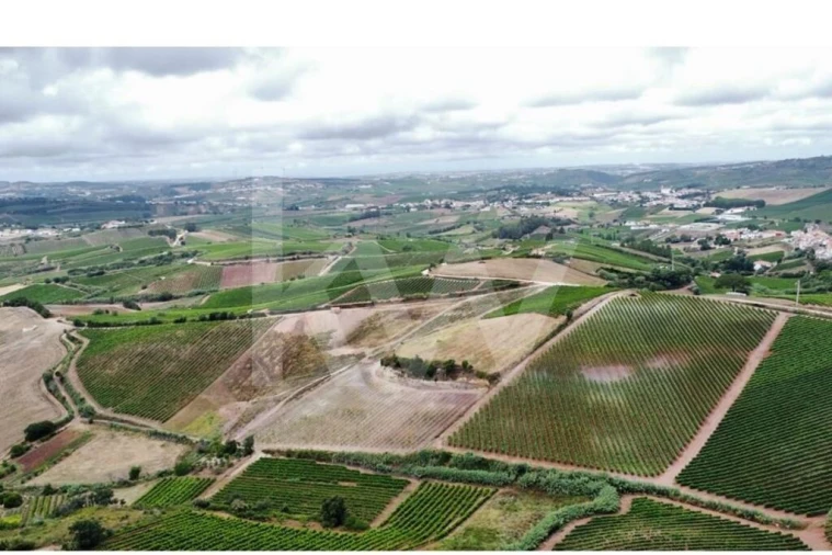 Terreno para Venda em Turcifal Foto 2