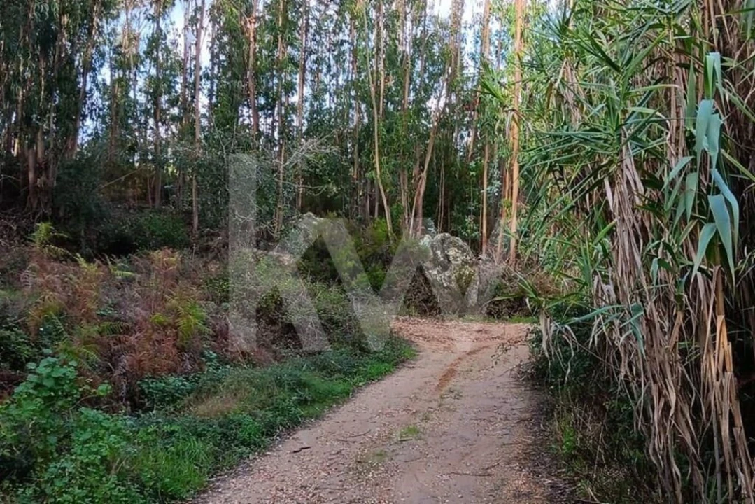 Terreno para Venda em Malveira e São Miguel de Alcainça Foto 1