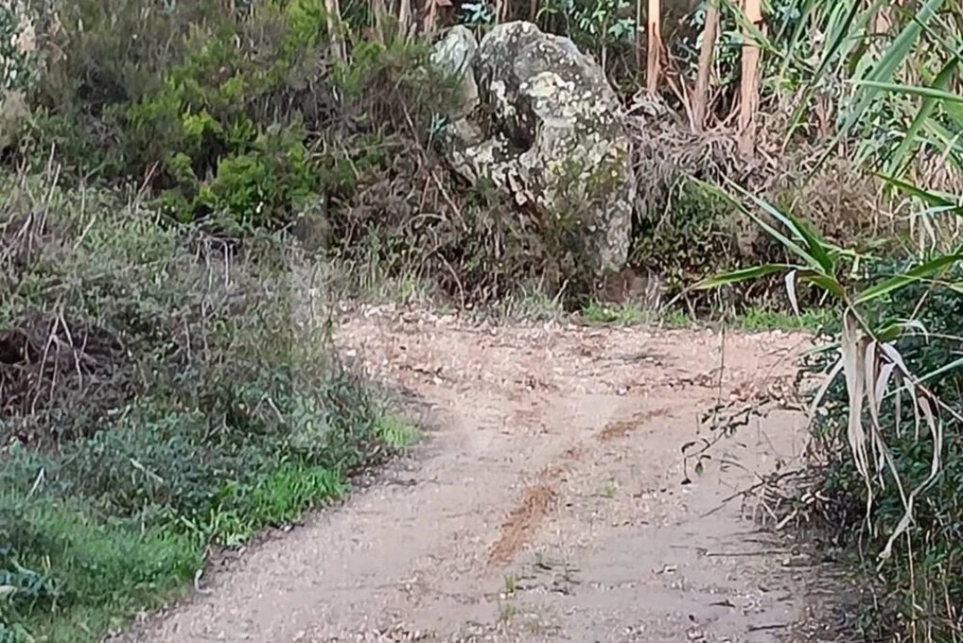 Terreno para Venda em Malveira e São Miguel de Alcainça Foto 3