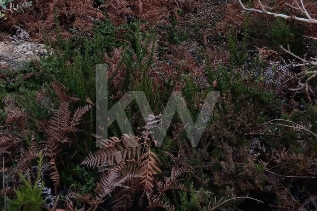 Terreno para Venda em Malveira e São Miguel de Alcainça Foto 7