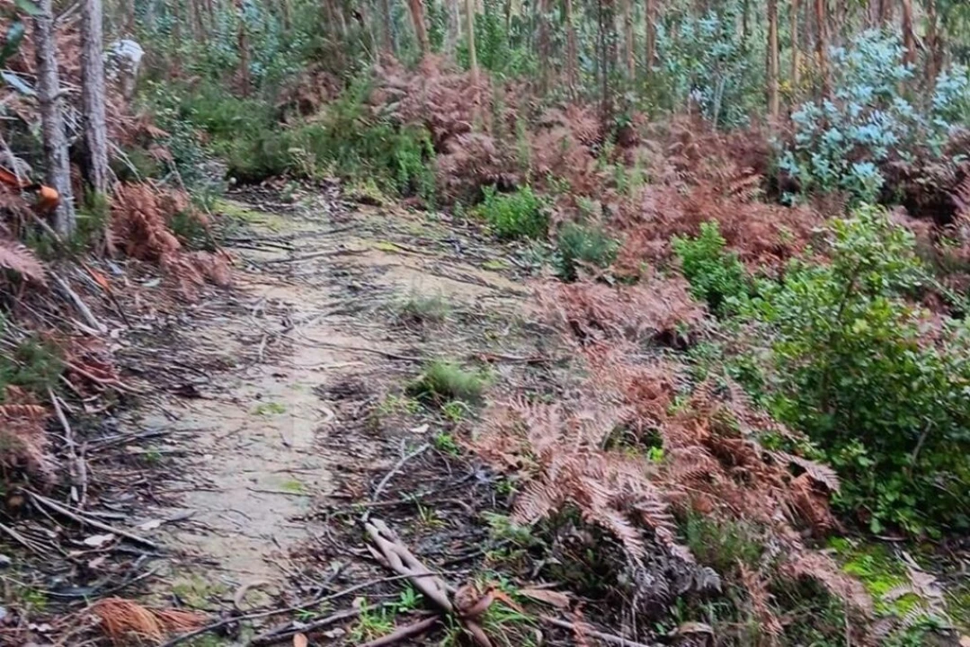 Terreno para Venda em Malveira e São Miguel de Alcainça Foto 11