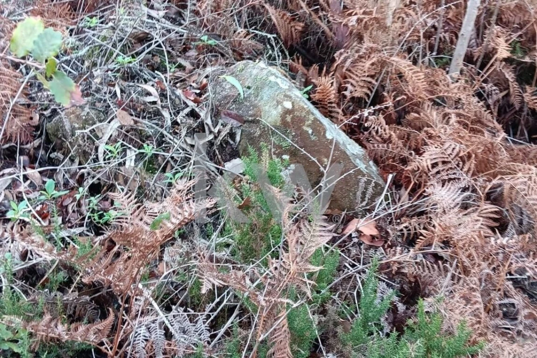 Terreno para Venda em Malveira e São Miguel de Alcainça Foto 18
