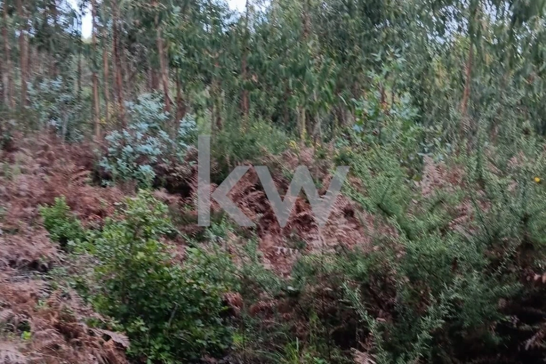 Terreno para Venda em Malveira e São Miguel de Alcainça Foto 22