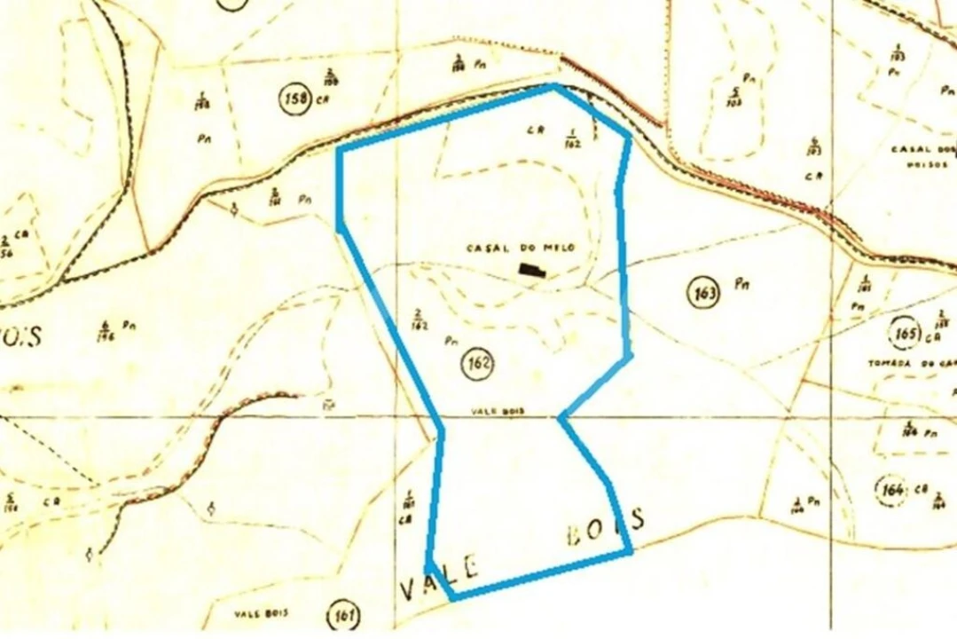 Terreno para Venda em Milharado Foto 2