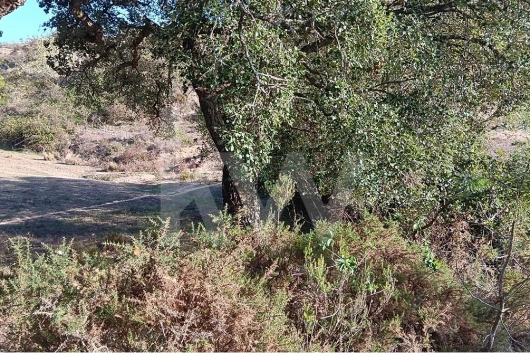 Terreno para Venda em Milharado Foto 5