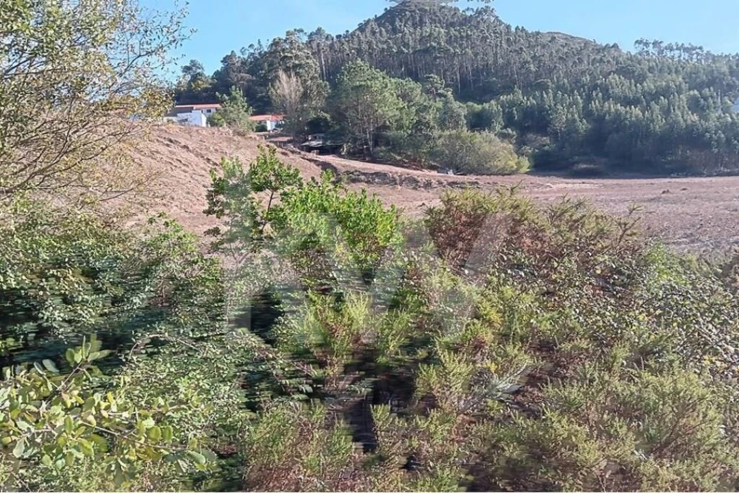Terreno para Venda em Milharado Foto 7