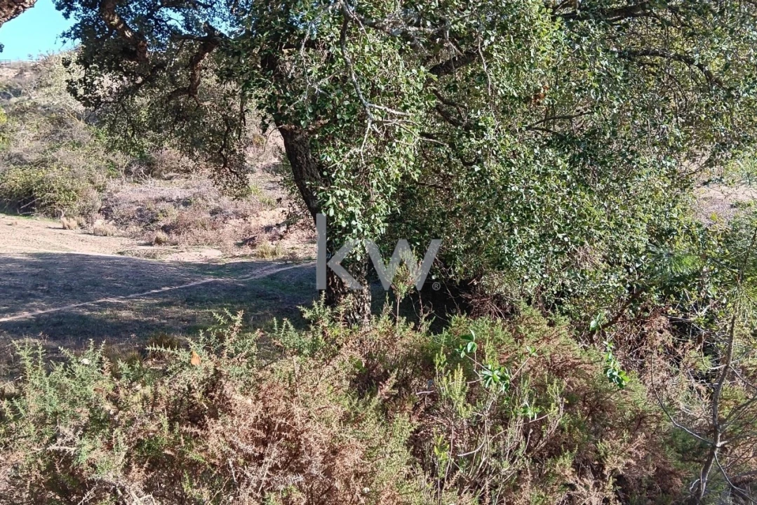 Terreno para Venda em Milharado Foto 9