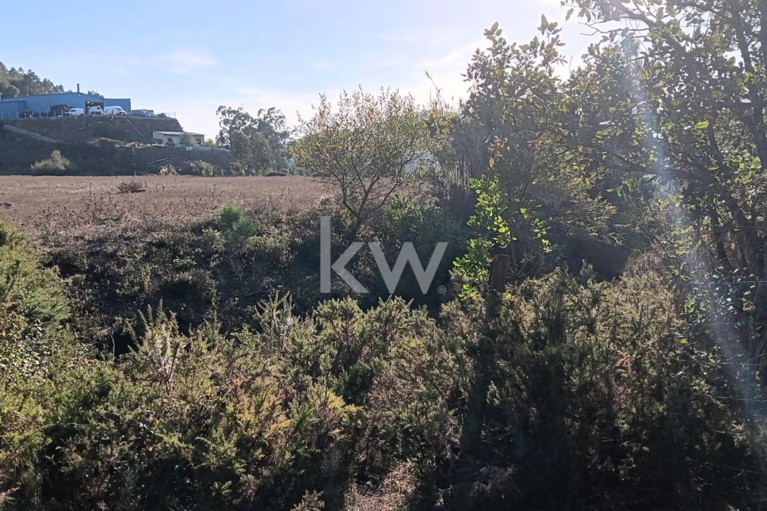 Terreno para Venda em Milharado Foto 10