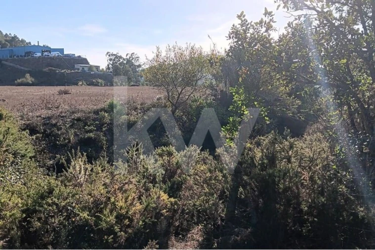 Terreno para Venda em Milharado Foto 6