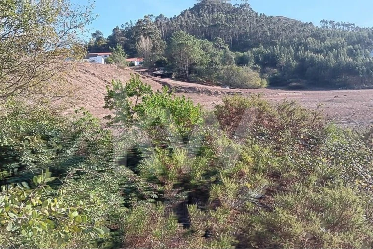 Terreno para Venda em Milharado Foto 7