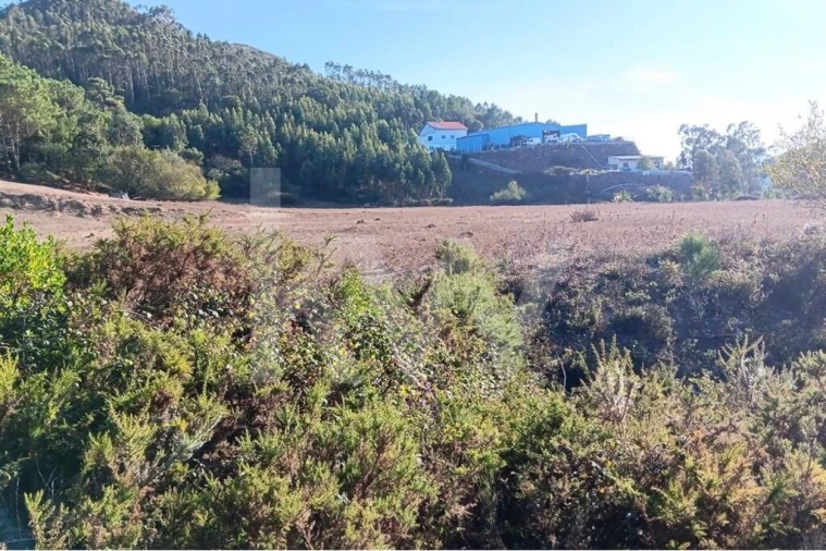 Terreno para Venda em Milharado Foto 8