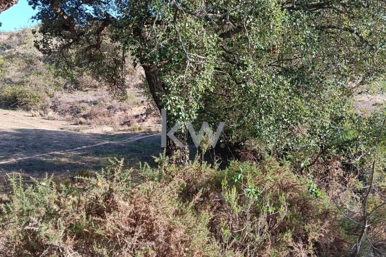 Terreno para Venda em Milharado Foto 9