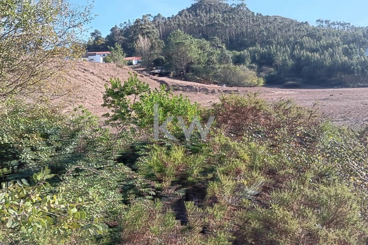 Terreno para Venda em Milharado Foto 11