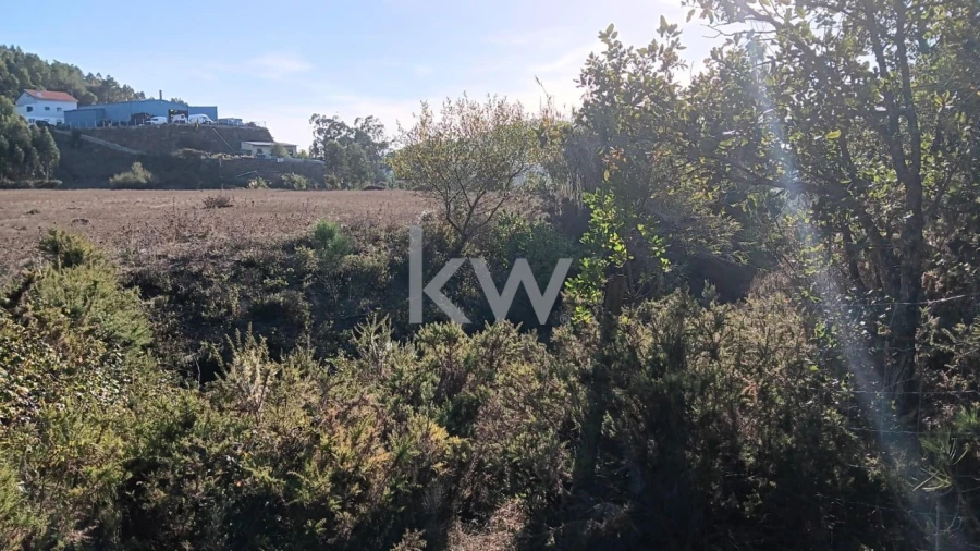 Terreno para Venda em Milharado Foto 13