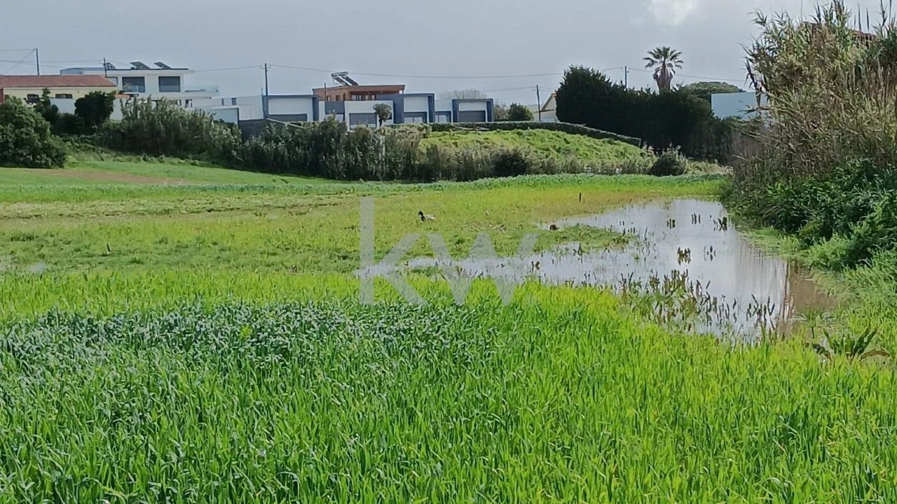 Terreno para Venda em Santo Isidoro Foto 14