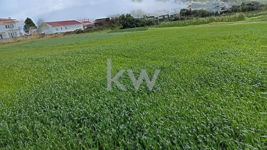 Terreno para Venda em Santo Isidoro Foto 7