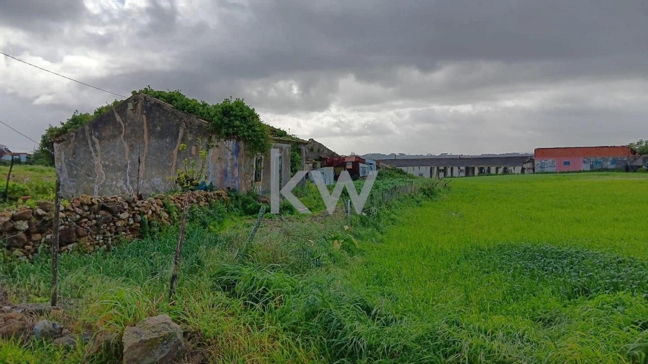 Terreno para Venda em Santo Isidoro Foto 4