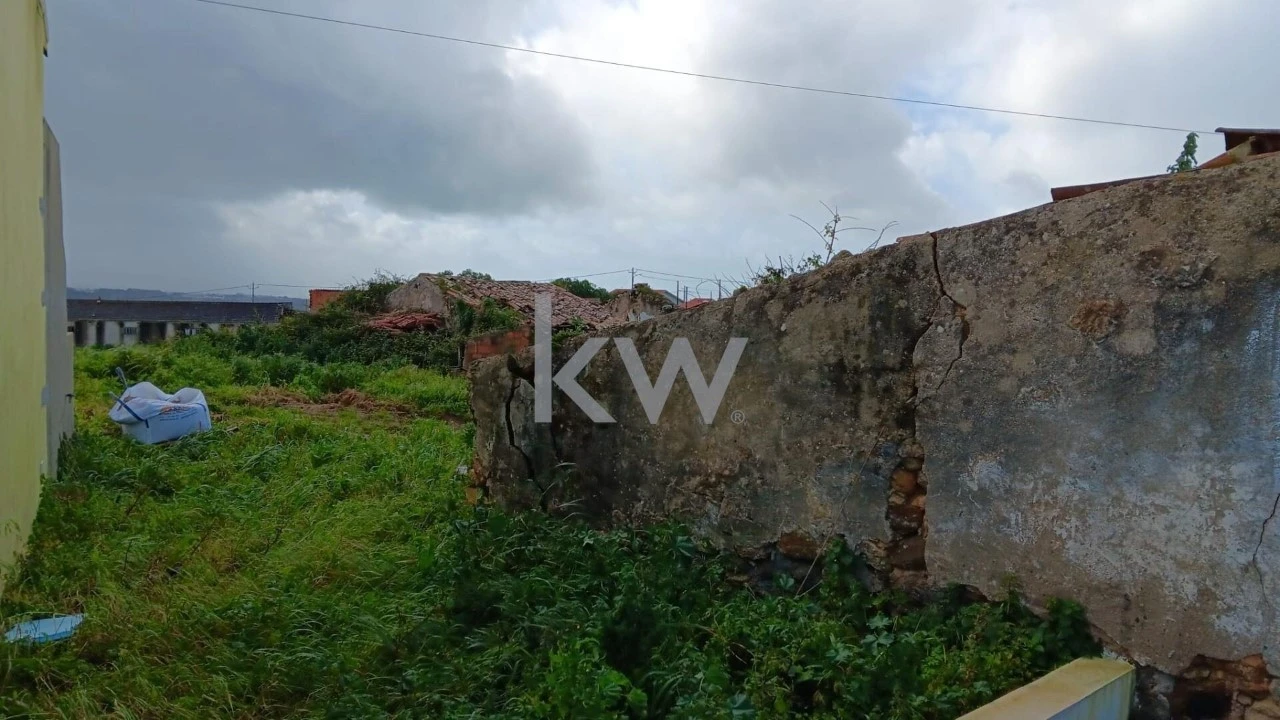 Terreno para Venda em Santo Isidoro Foto 6