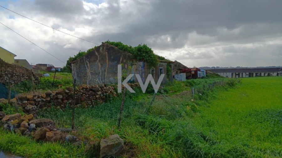 Terreno para Venda em Santo Isidoro Foto 7