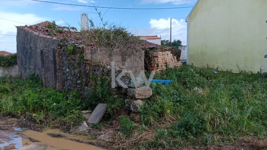 Terreno para Venda em Santo Isidoro Foto 13