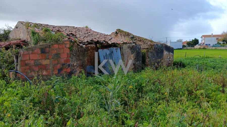 Terreno para Venda em Santo Isidoro Foto 16