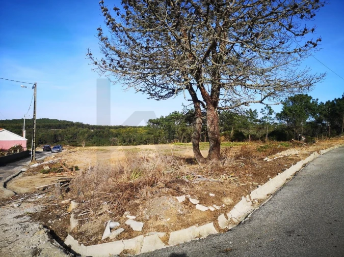 Terreno para Venda em Ericeira Foto 9
