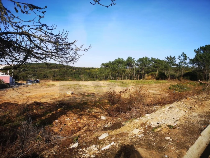 Terreno para Venda em Ericeira Foto 10
