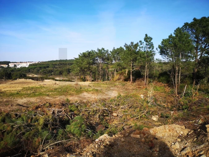 Terreno para Venda em Ericeira Foto 11