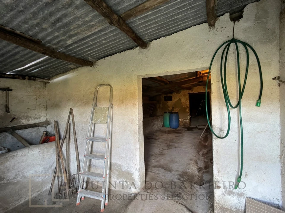 Quinta T3 para Venda em São Salvador da Aramenha Foto 28