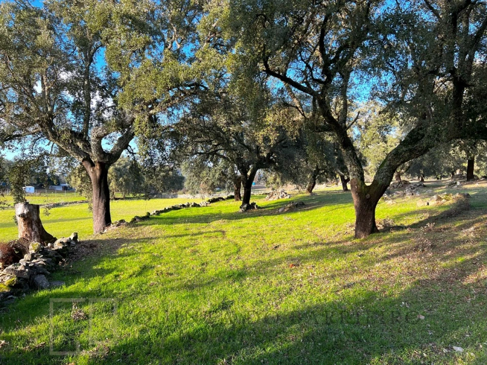 Quinta T3 para Venda em São Salvador da Aramenha Foto 5