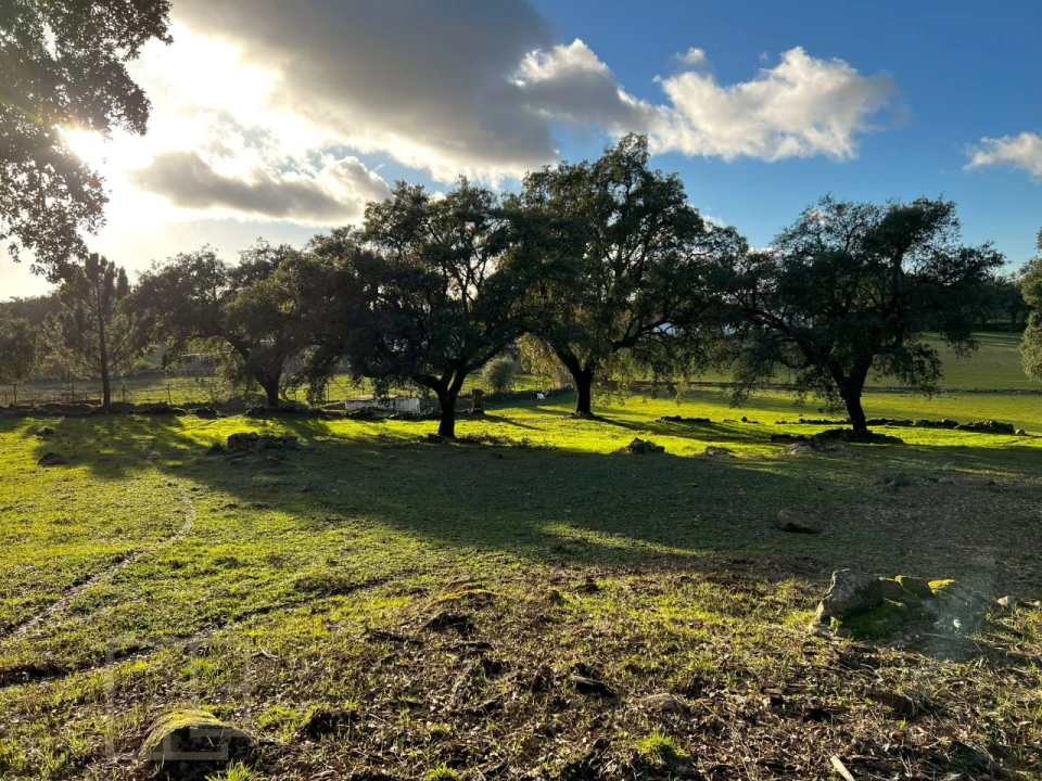 Quinta T3 para Venda em São Salvador da Aramenha Foto 6