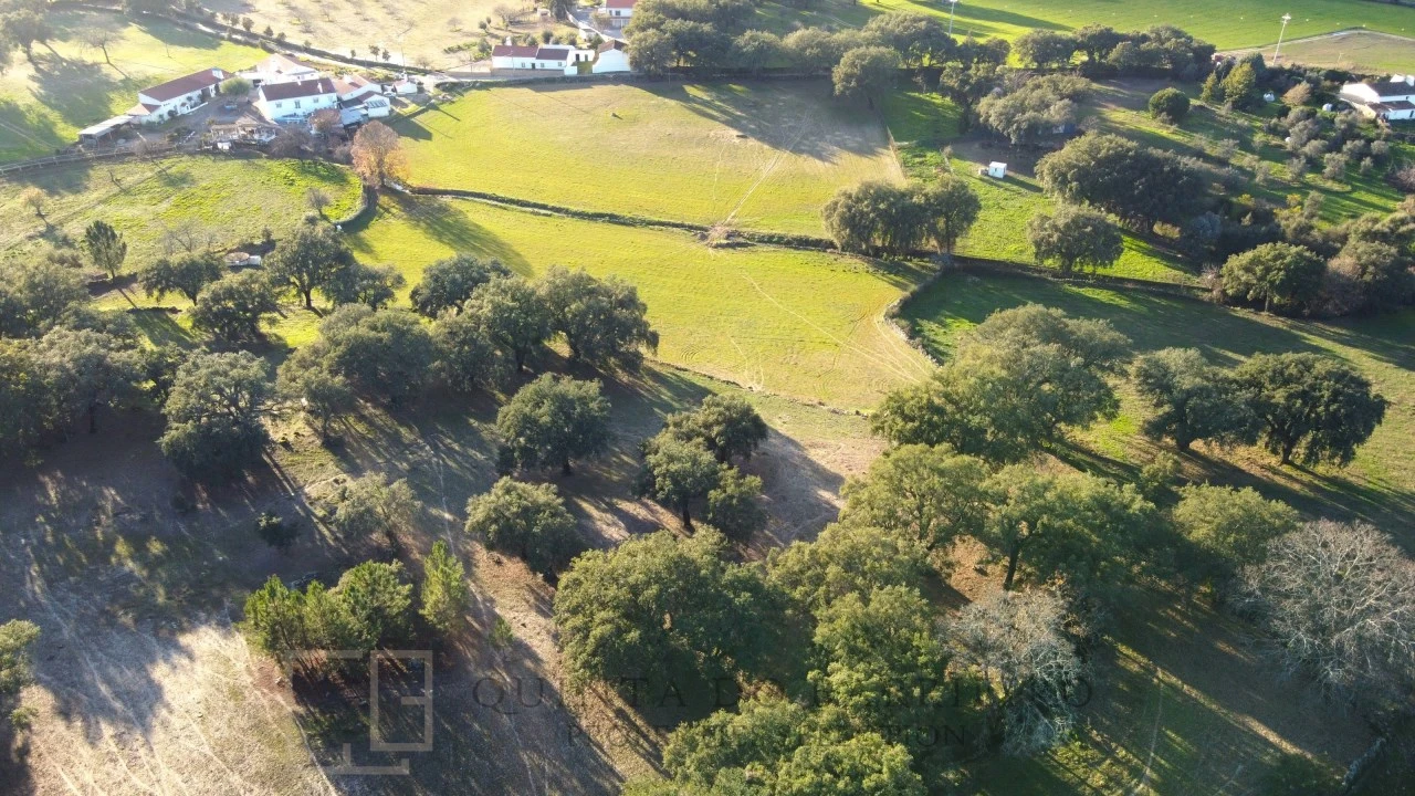Quinta T3 para Venda em São Salvador da Aramenha Foto 2